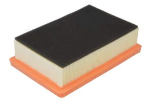 C 21 110