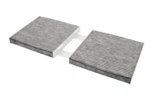 FP 19 004